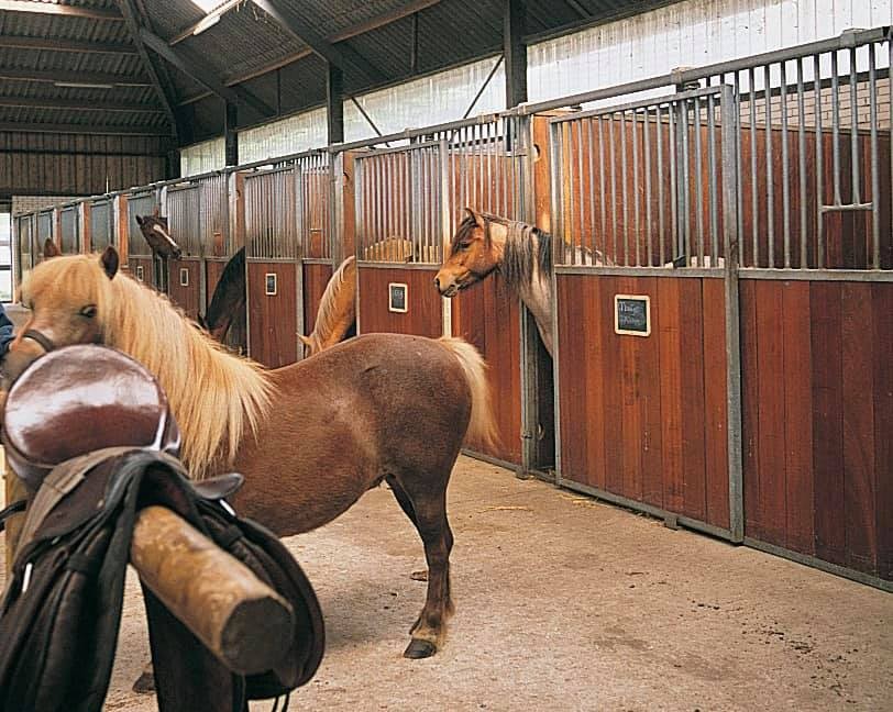 Vakantieoord de Bronzen Emmer - Manege 5