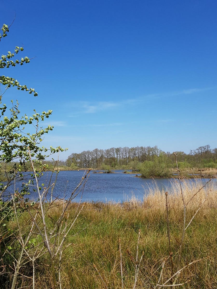 Vakantieoord de Bronzen Emmer Omgeving 1