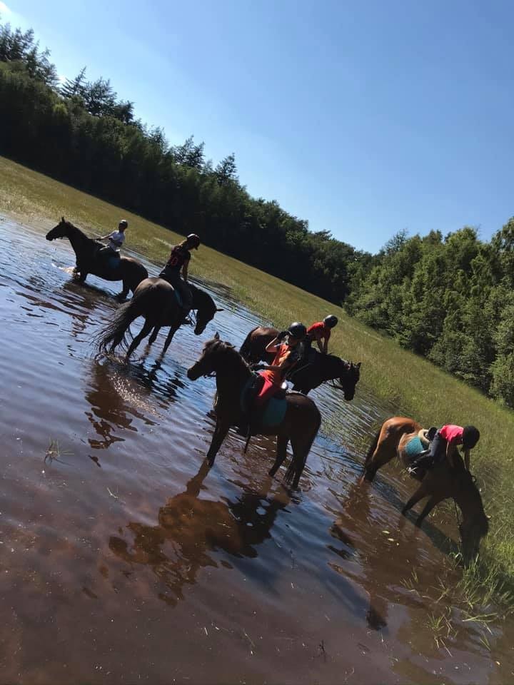 Vakantieoord de Bronzen Emmer Manege 2