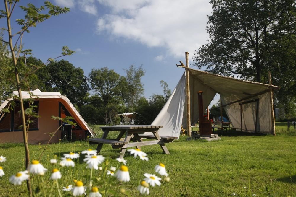 camping met wifi in drenthe