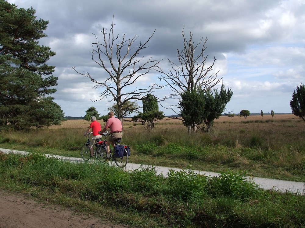 fietsen in drenthe03