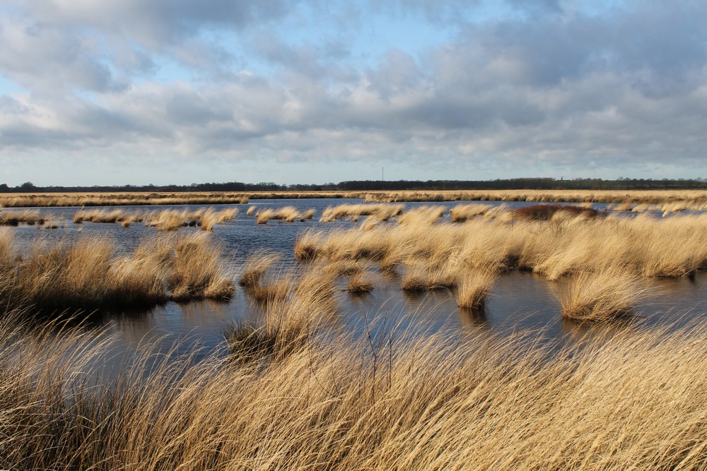 natuur drenthe campings02