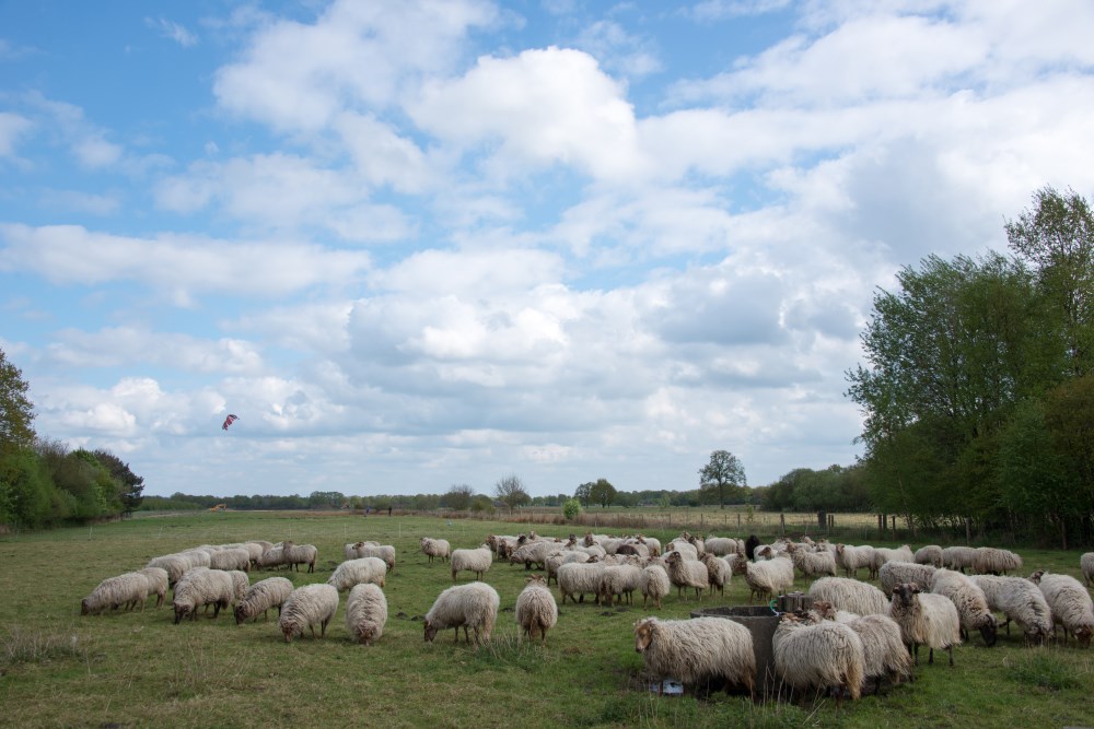 camping assen