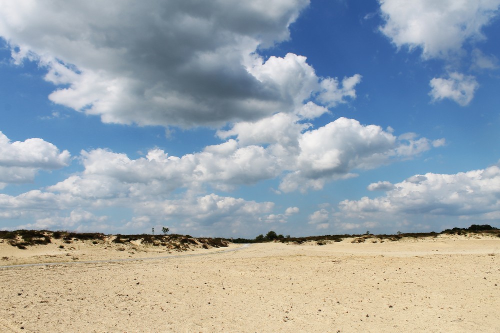 natuur drenthe campings05