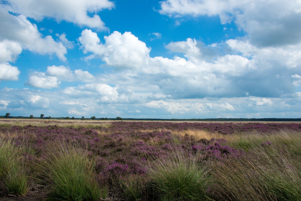 ontdek drenthe07