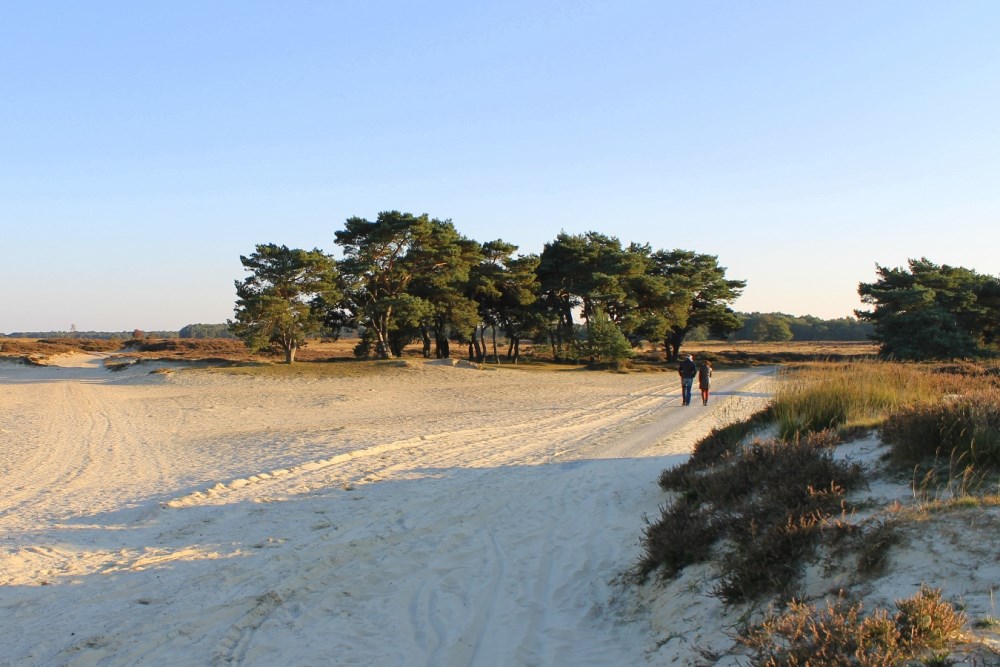 wandelen drenthe campings01