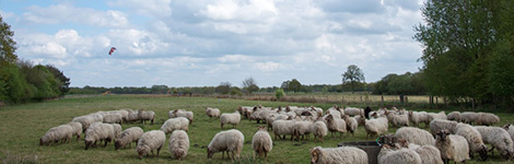 drenthe4703