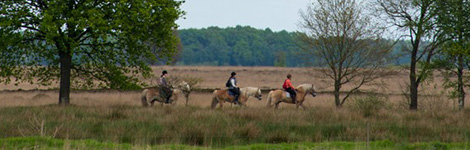 manege470