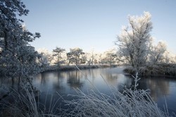 winterkamperen drenthe 01