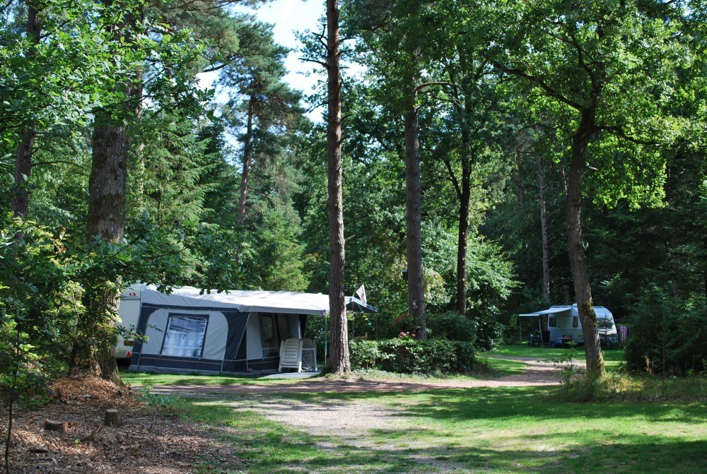 camping_diever_drenthe06