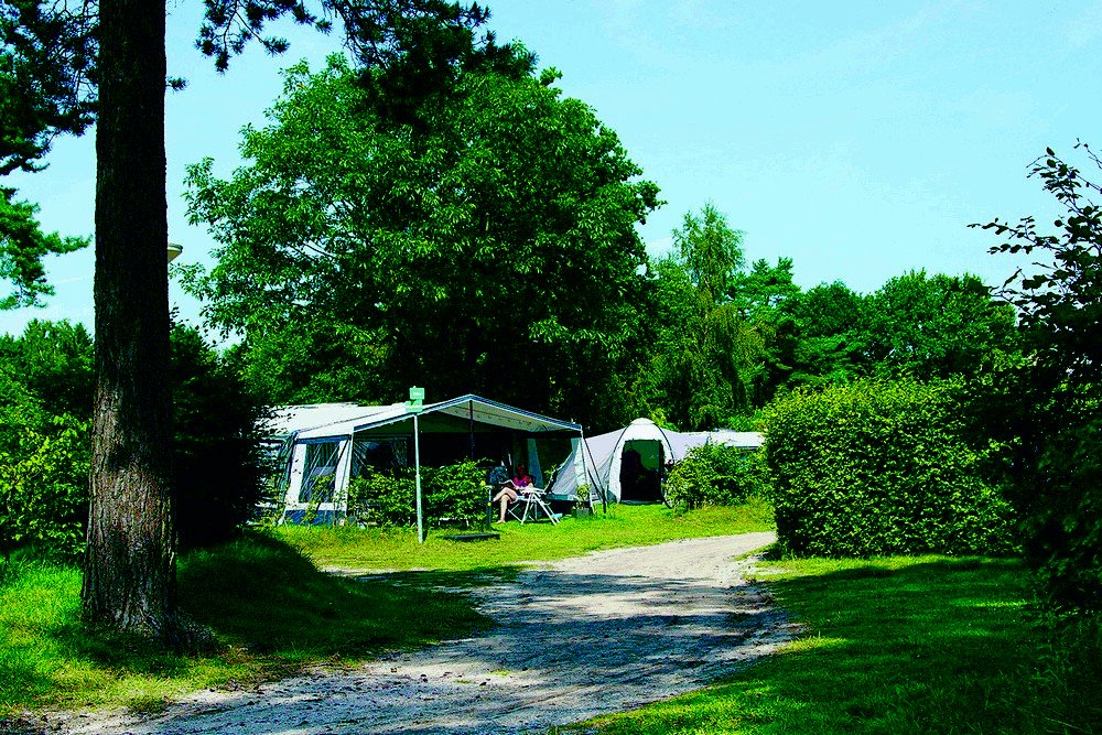 camping de hondsrug drenthe 01