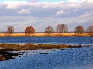 drenthe_campings_meistershof21