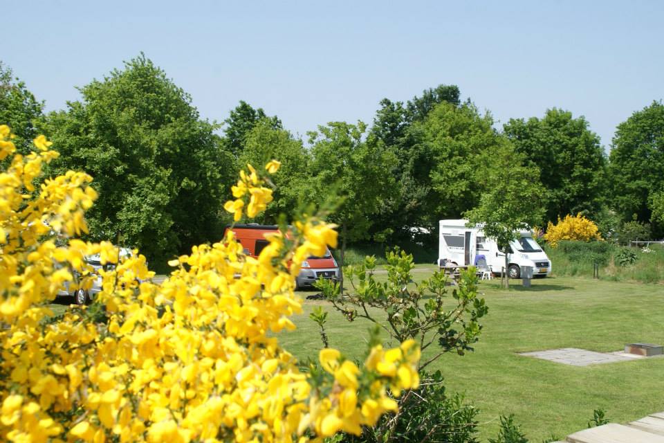 camping_meistershof_drenthe07