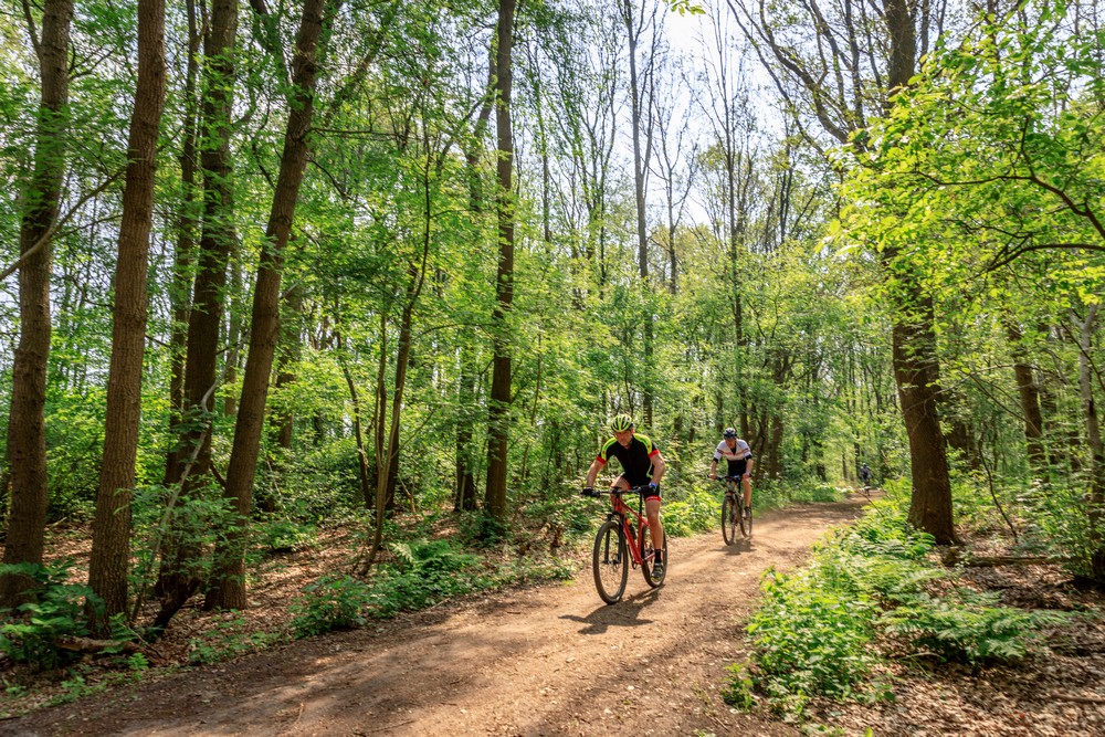 DrentheCampings_Reeenwissel07