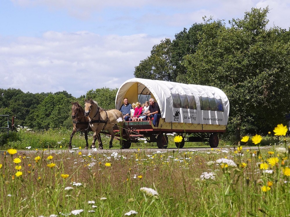 Huifkartocht uitsnede