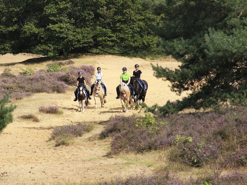 Ponyrijden 1 uitsnede