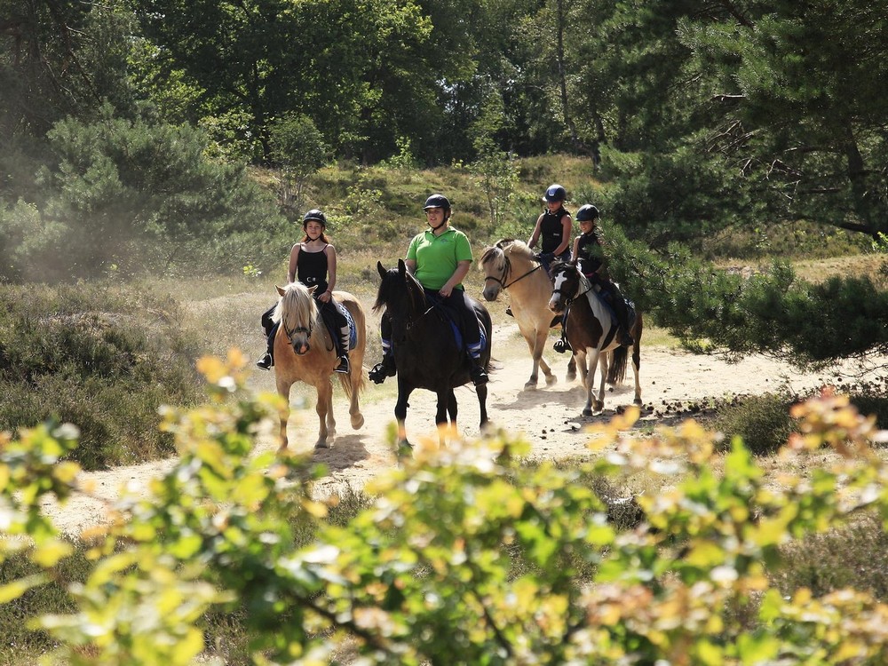 Ponyrijden 2 uitsnede