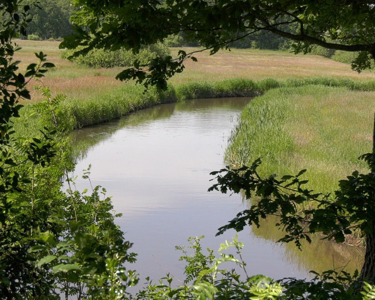 Drentsche Aa