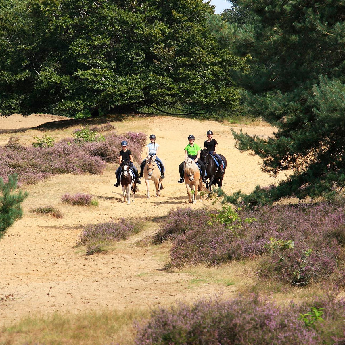 Ponyrijden