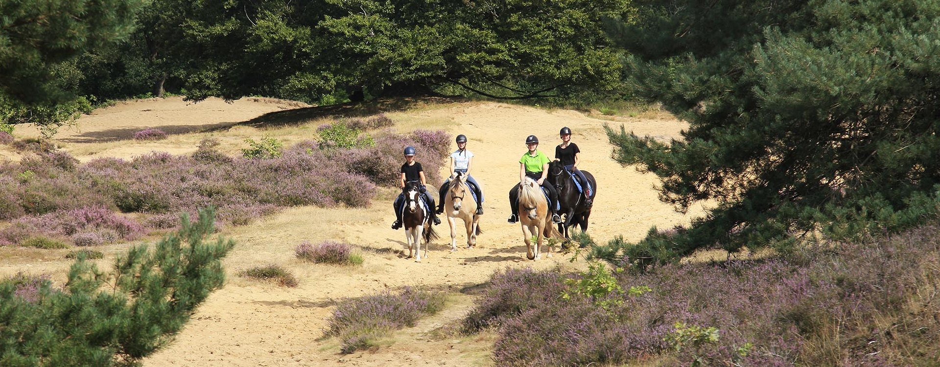 Buitenrit_ponyrijden