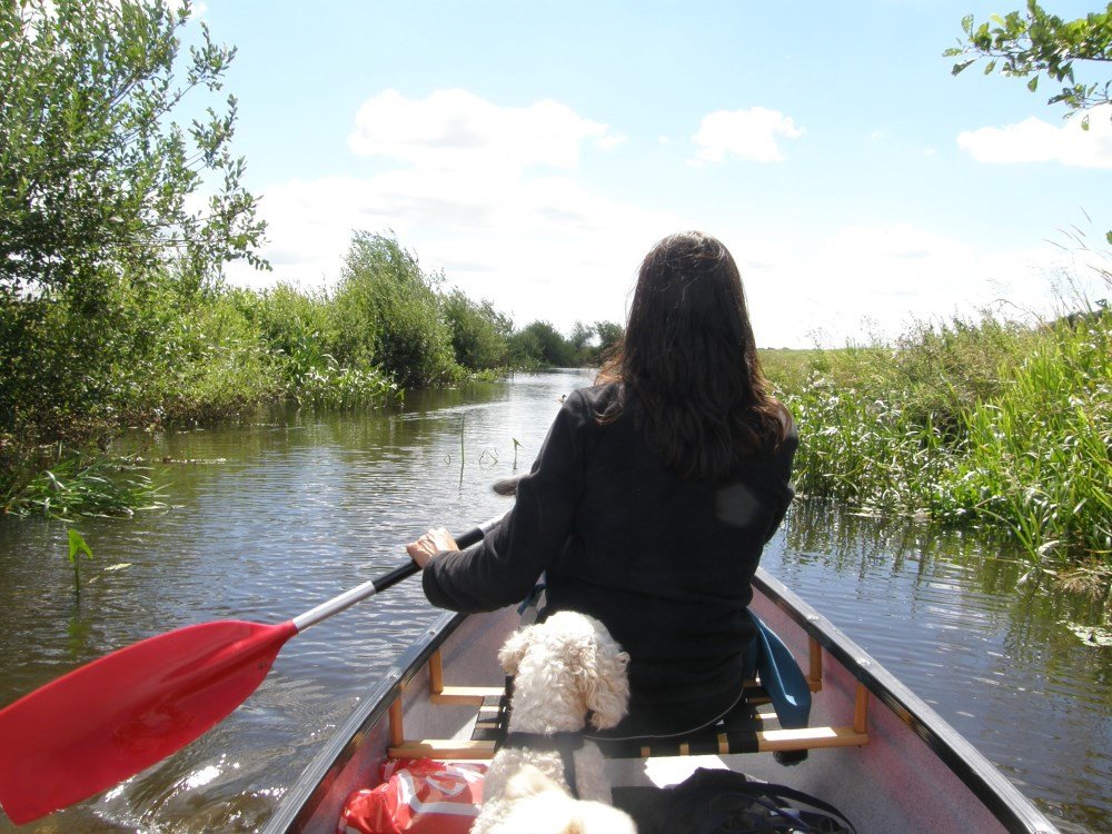 camping_zwanemeer_drenthe02