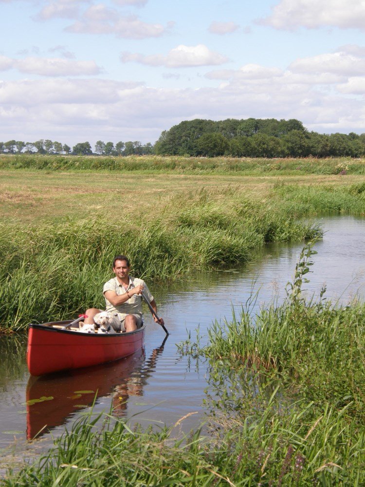 camping_zwanemeer_drenthe07