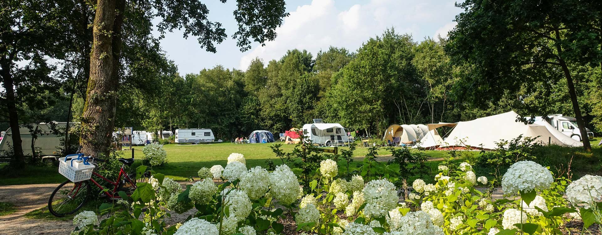 landclub-ruinen-kamperen-op-onze-camping-in-drenthe