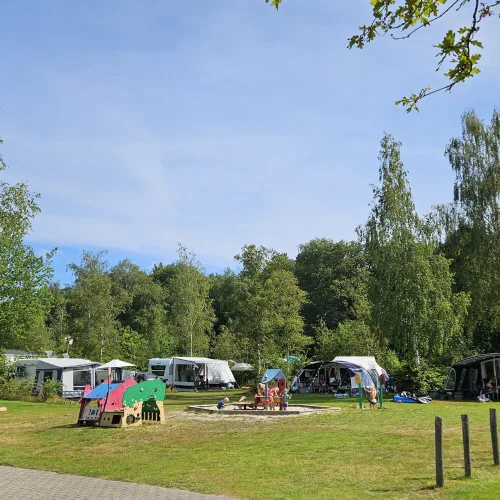 Veldje Camping de Berken in Drenthe