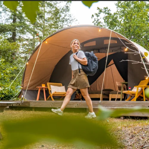 Tunneltent Lodge - Torentjeshoek